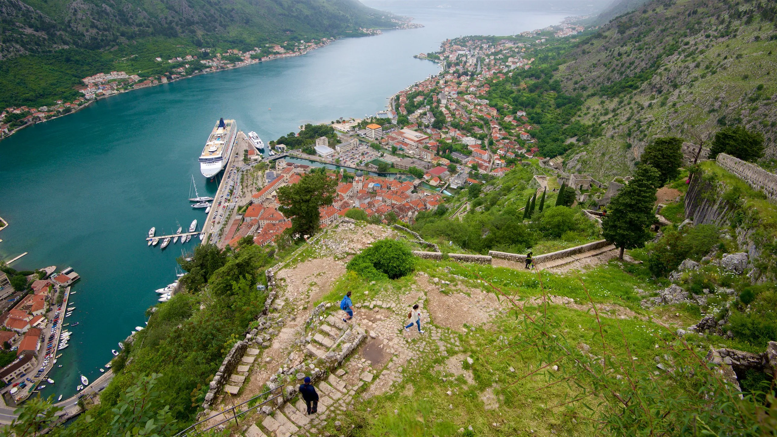 Kotor