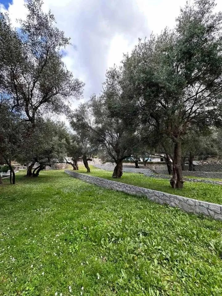 Comfortable Spacious Villa in Becici for rent