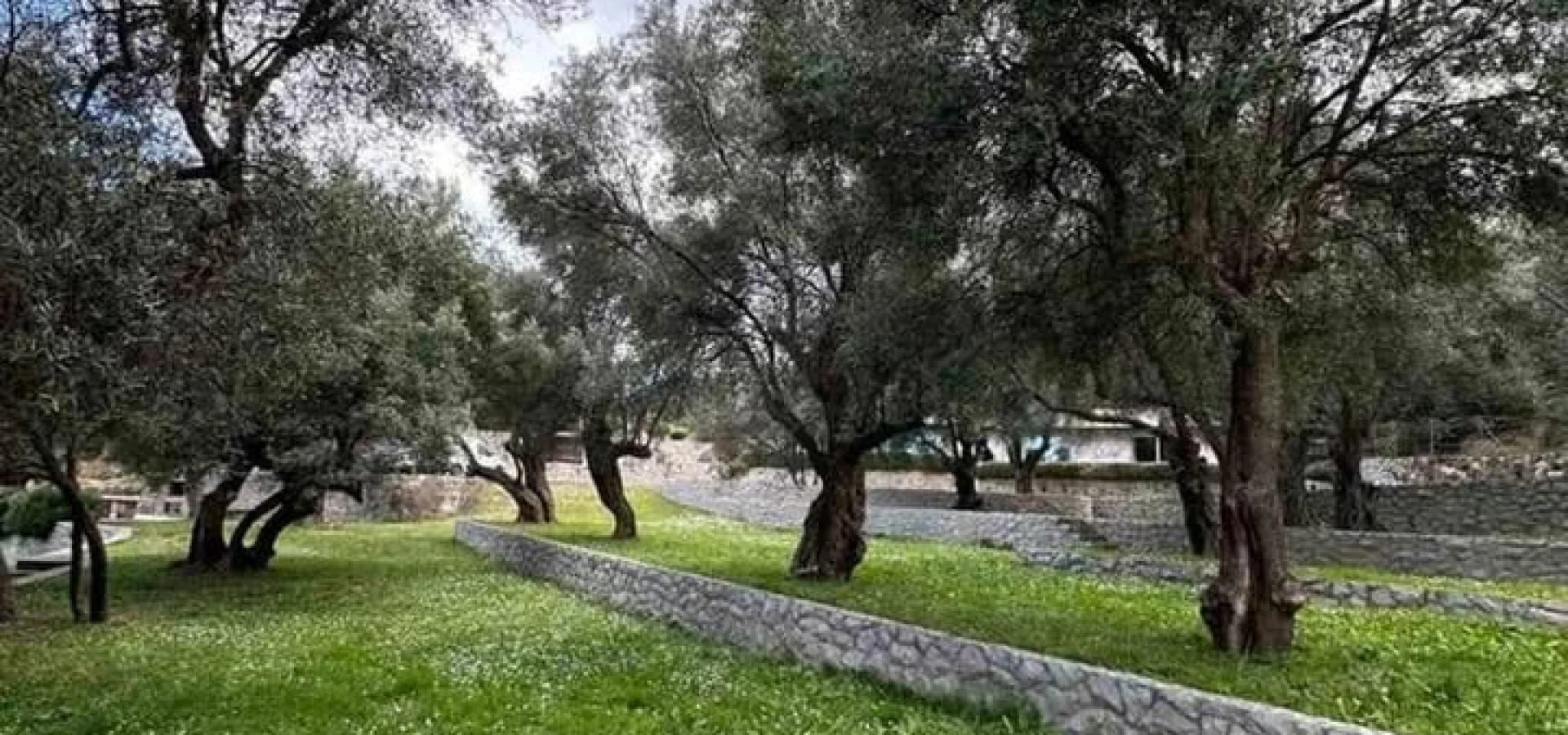 Comfortable Spacious Villa in Becici for rent