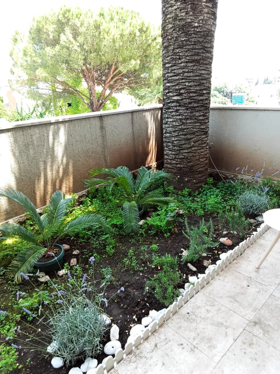 Studio apartment for rent in Budva
