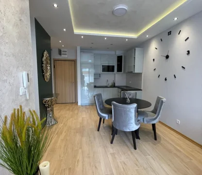 2+1 luxury apartment for rent in Budva