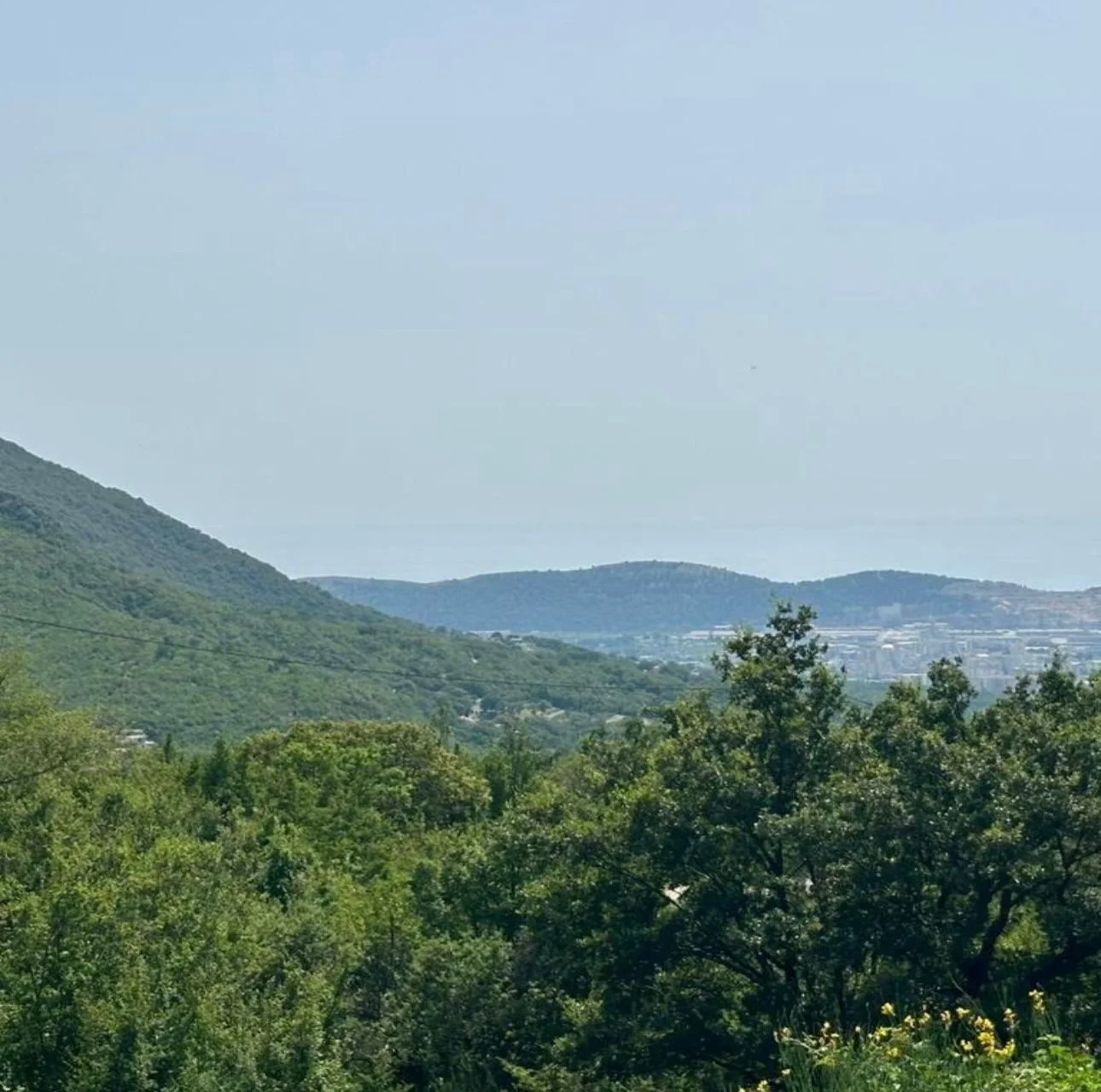 Land for sale in Bar with sea views 6,600 m2
