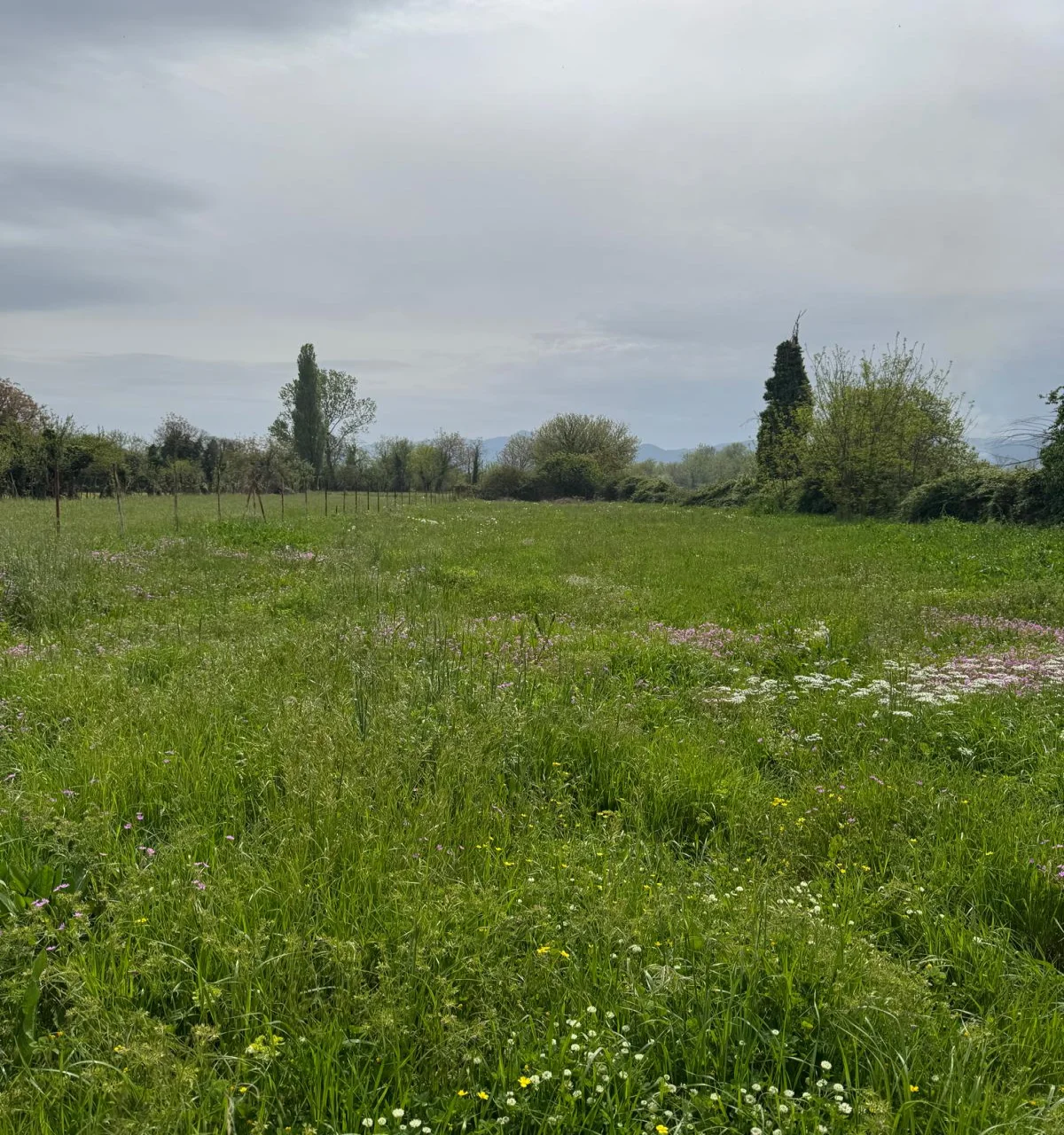 3,500 m2 of land with zoning in Podgorica