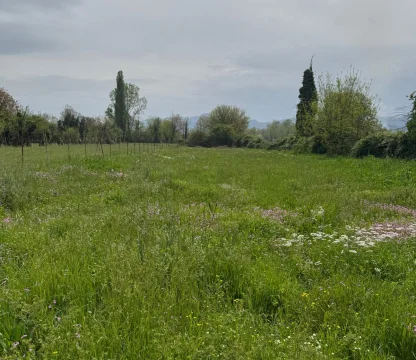 3,500 m2 of land with zoning in Podgorica