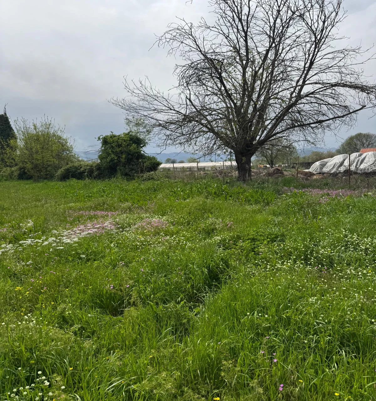 3,500 m2 of land with zoning in Podgorica