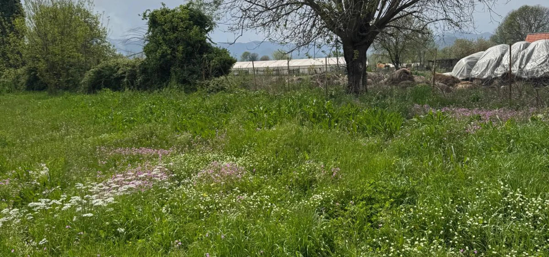 3,500 m2 of land with zoning in Podgorica