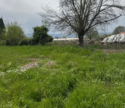 3,500 m2 of land with zoning in Podgorica