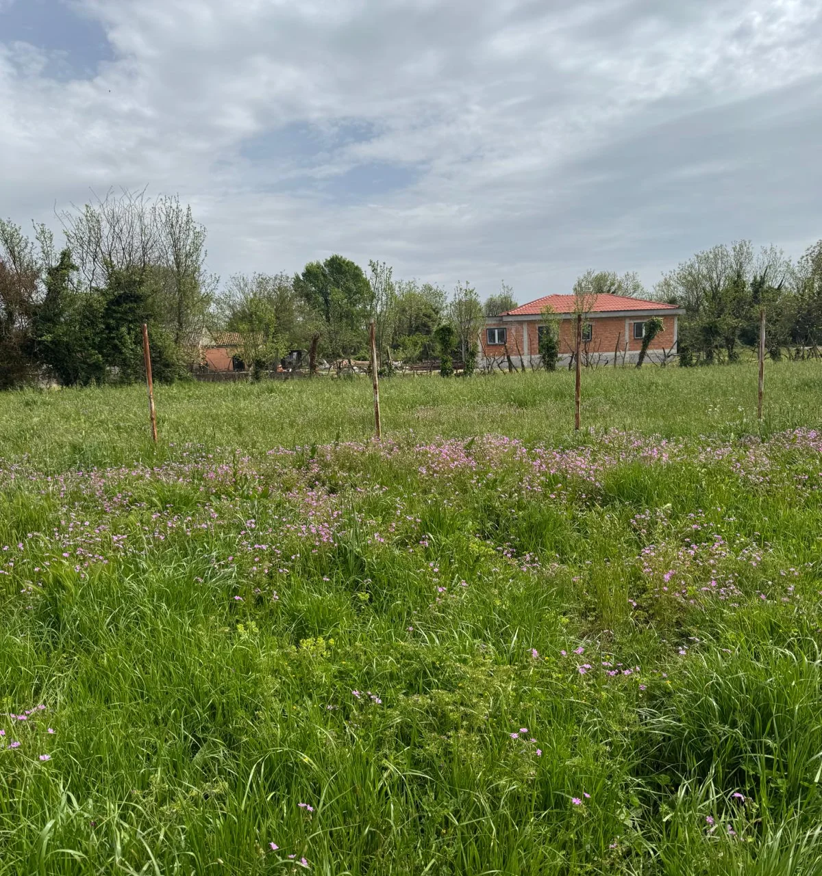 3,500 m2 of land with zoning in Podgorica