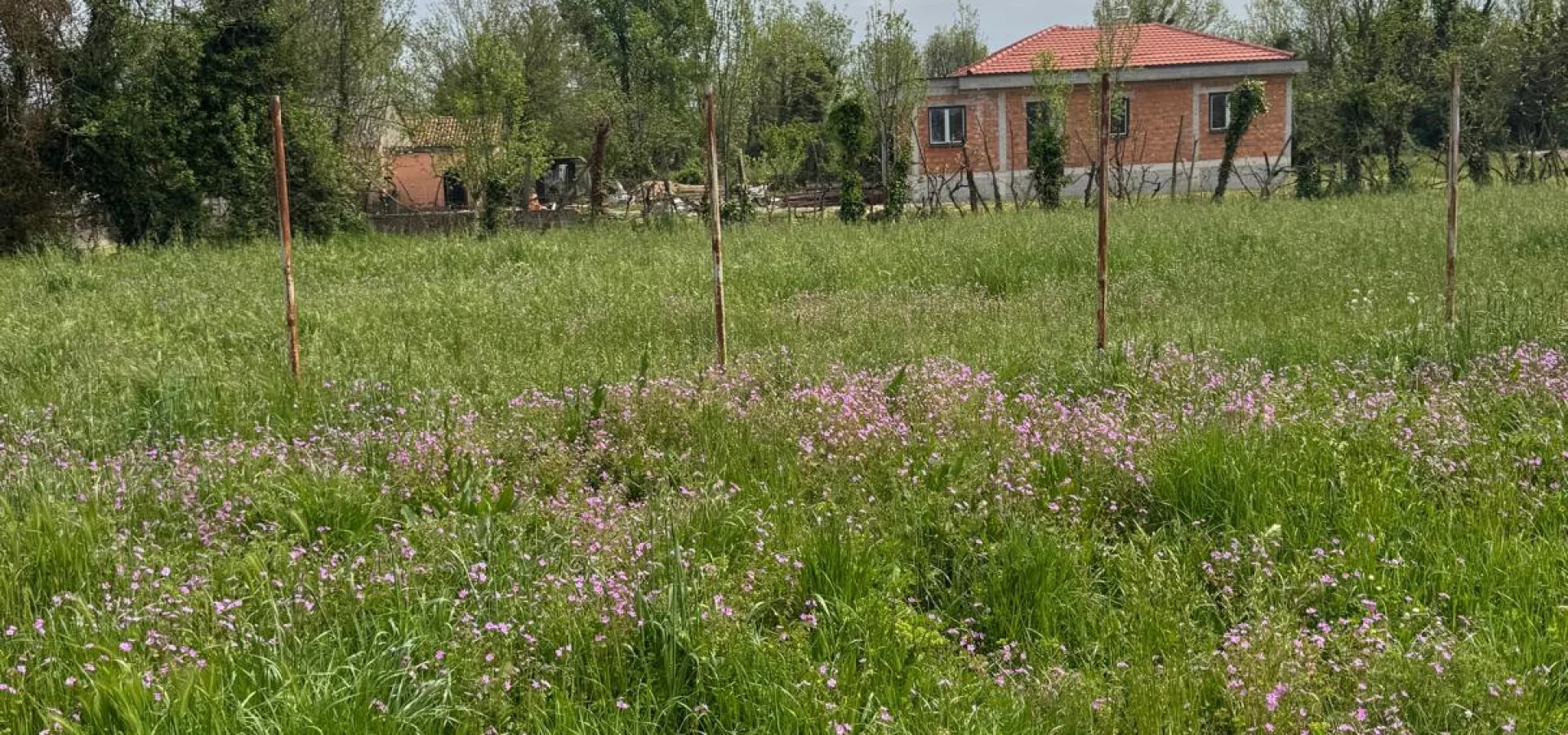 3,500 m2 of land with zoning in Podgorica